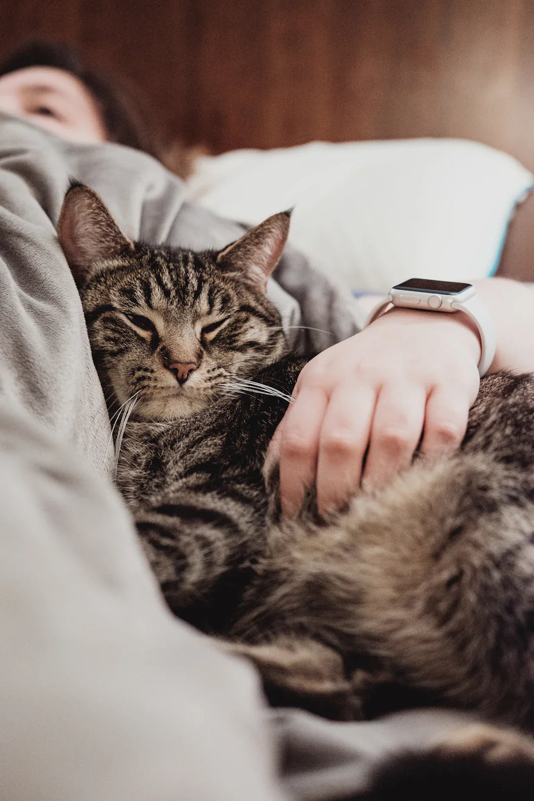 Choosing the Perfect Garmin Watch Band for You