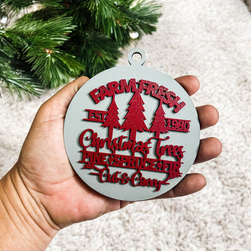 Silver with Red Handcrafted 3D Wooden Christmas Ornaments Farm Fresh Imperfect Set Tree Hanging Holiday Decor