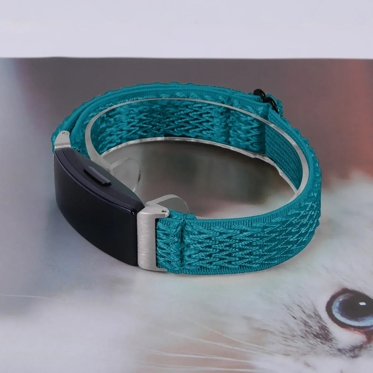 Fitbit Inspire Textured Stretch Nylon Loop Band - Teal nylon loop